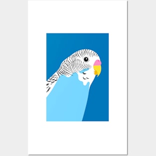 Blue Budgie Bird Portrait Posters and Art